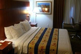 Hotel Clarion International Airport